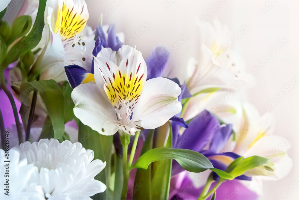 Fototapeta premium a festive bouquet with different colors of asters and lilies with the effect of blurring and haze on the sides. without focus, close-up