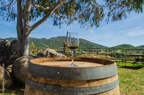 Copa de vino adornando un hermoso paisaje en Valle de Guadalupe, cerca de Ensenada, Baja California, México