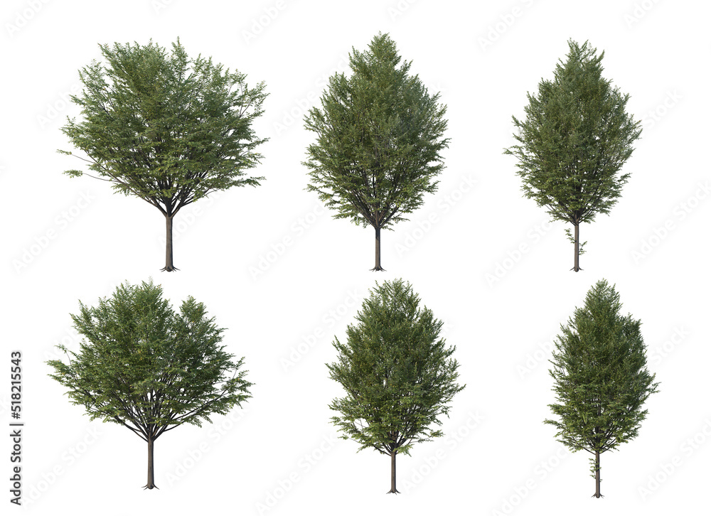 Fototapeta premium Autumn tree on a white background