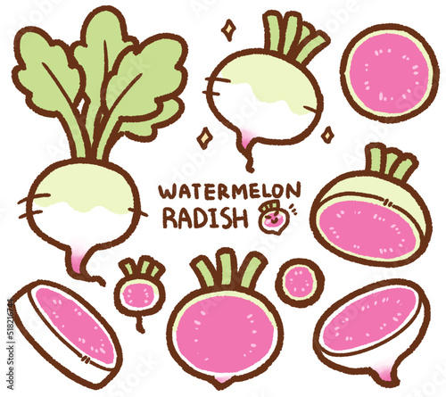 watermelon radish cartoon drawing set