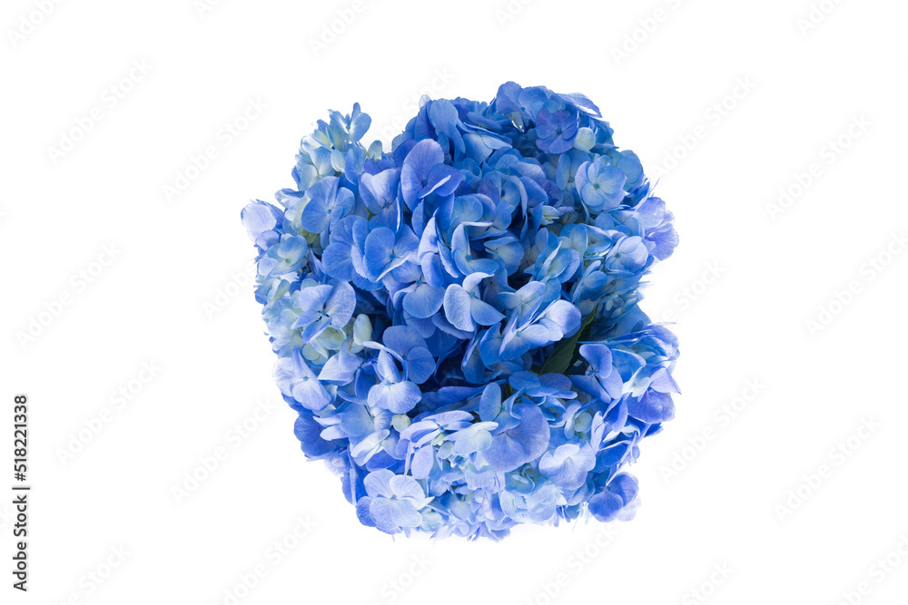 Obraz premium Circle of cuts flower on white background