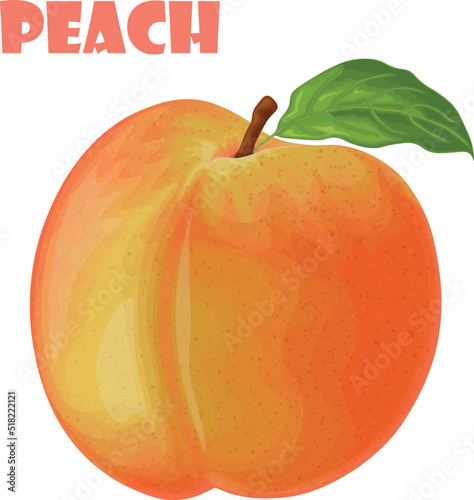 Peach. Image of a peach. Ripe juicy peach with a stone. Ripe fruit. Vegetarian vitamin product. Vector illustration