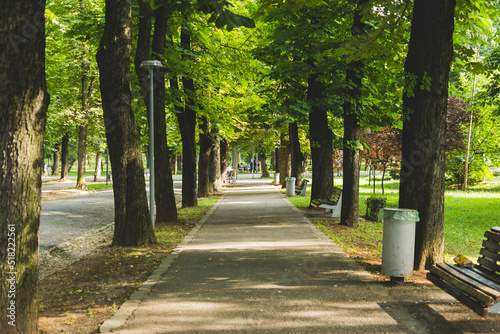 Fototapeta Naklejka Na Ścianę i Meble -  Beautiful park alley full of trees and vintage lampposts on one side and wood bench on the other next to trash cans