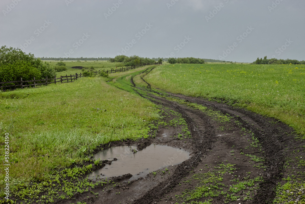 landscape with a field landscape with a field
