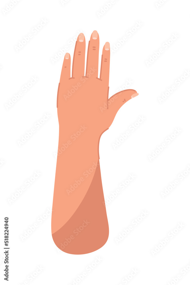 raised female hand raised female hand