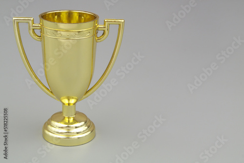 Gold trophy cup on gray background	