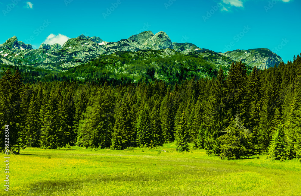 custom made wallpaper toronto digitalMountain landscape, Durmitor National Park, Croatia