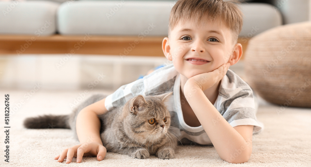 Happy little boy with cute cat at home Happy little boy with cute cat at home