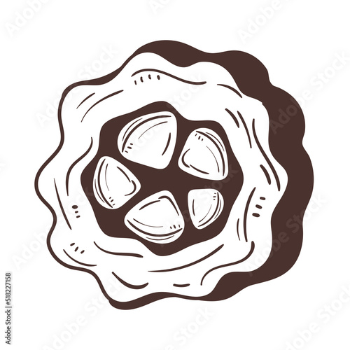 cacao food icon