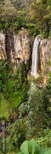 Panoramic Australian rainforest views in Springbrook National Park. Purling Brook waterfall in view. 