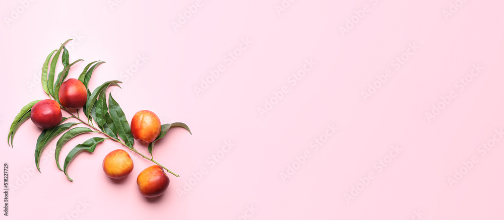 Fototapeta premium Fresh peaches on pink background with space for text