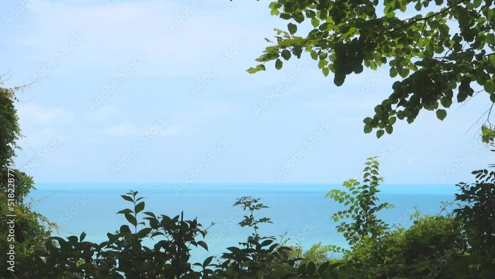 Sea view from tropical bushes. In the distance you can see the turquoise sea, blue sky and cumulus clouds. The sun shines in the sea waves. Place to insert text. selective focus. Sea view from tropical bushes. In the distance you can see the turquoise sea, blue sky and cumulus clouds. The sun shines in the sea waves. Place to insert text. selective focus.