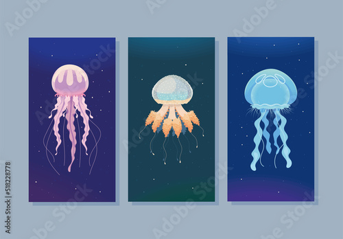 jellyfishes sea life banners
