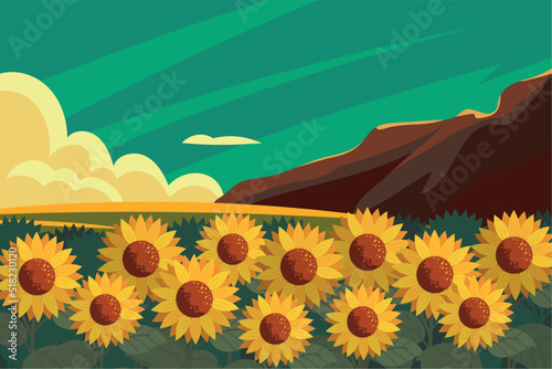 sunflowers rural landscape