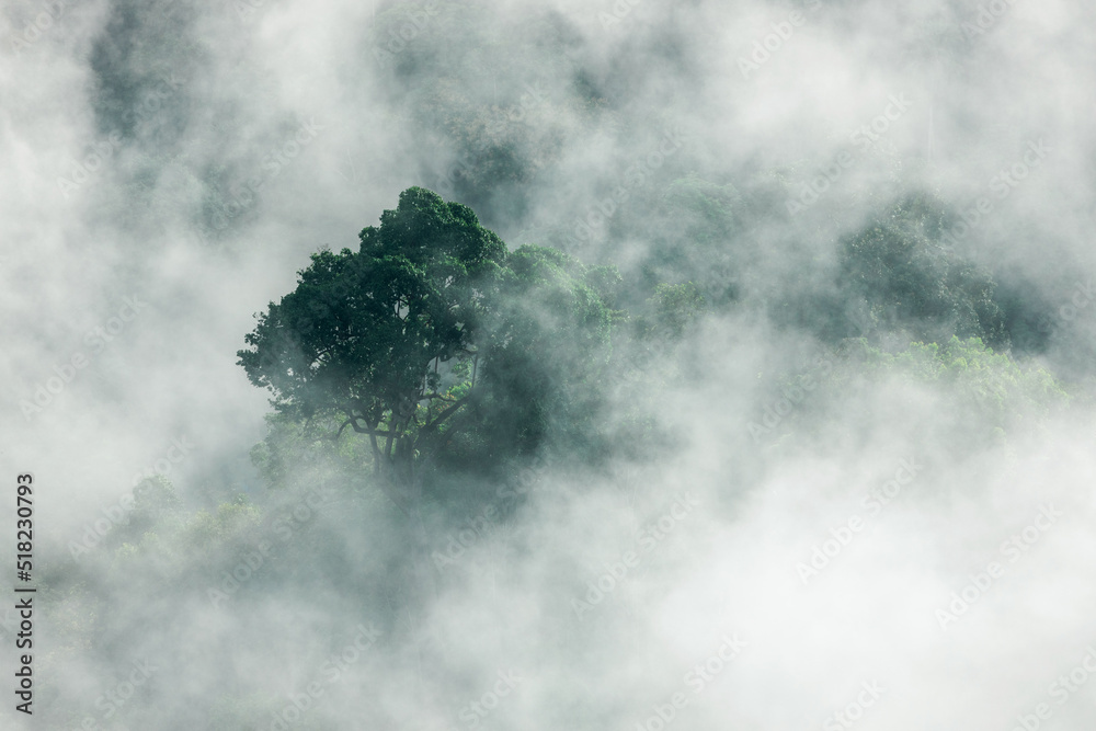 Fototapeta premium mountain ridge and clouds in rural jungle bush forest