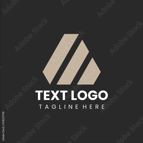 elegant triangle shape logo design with classic style vector