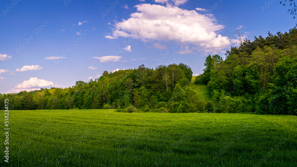 Obraz premium Mountain green