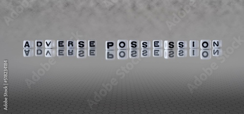 adverse possession word or concept represented by black and white letter cubes on a grey horizon background stretching to infinity