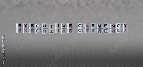 executive clemency word or concept represented by black and white letter cubes on a grey horizon background stretching to infinity