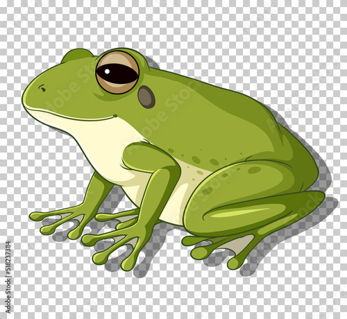 Green frog in flat cartoon style