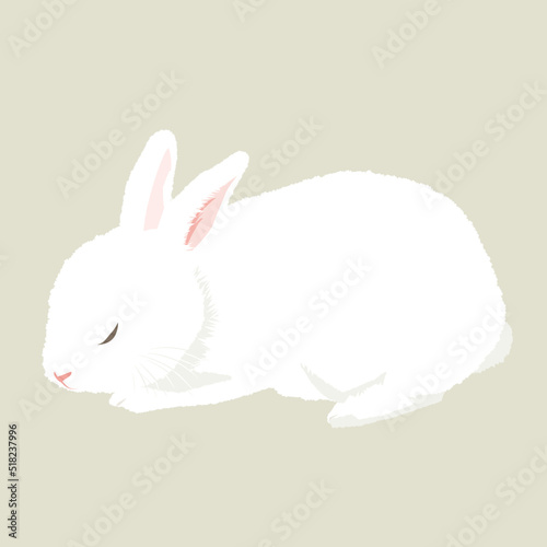 眠るウサギのイラスト