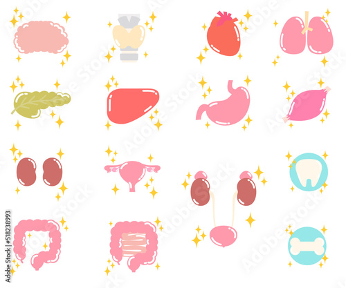 かわいい元気な体の仲間達