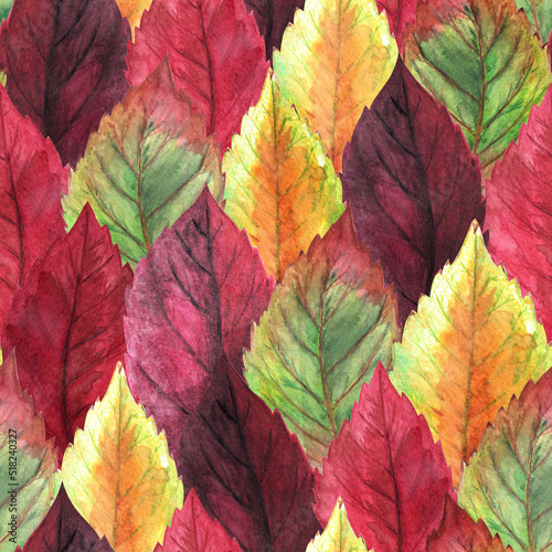 Watercolor hand drawn rows of lots of red  orange  burgundy  vinous  yellow  green multicolored autumn seasonal leaves seamless pattern as fall background. Aquarelle web design for print.