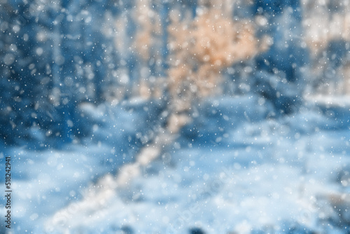  blurred winter forest