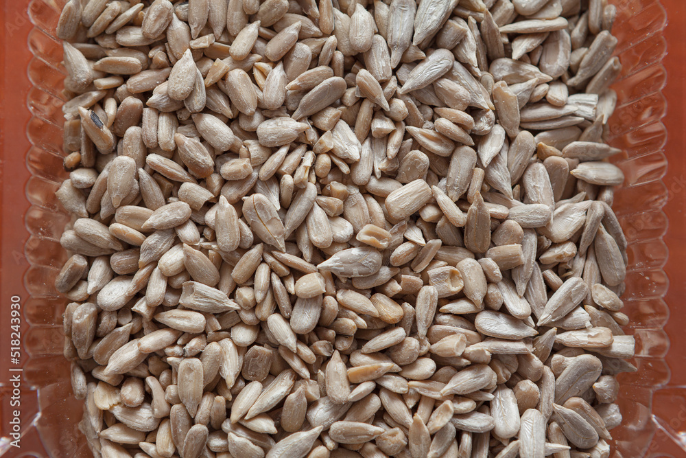 Obraz premium Sunflower seeds. Helianthus Annuus . Harvested background