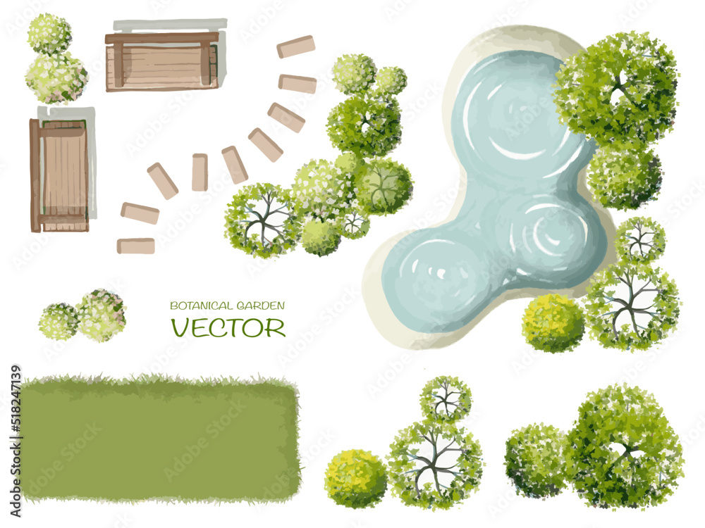 Vector watercolor of blooming tree top view isolated on white