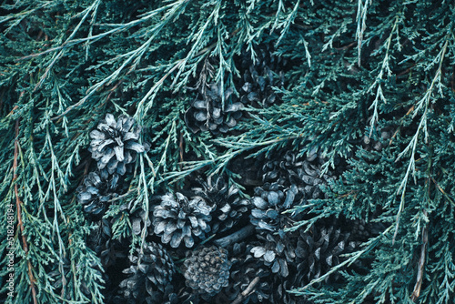pine cones and fir branches