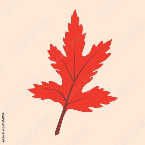 Chrysanthemum leaf illustration with reddish brown and dark brown color