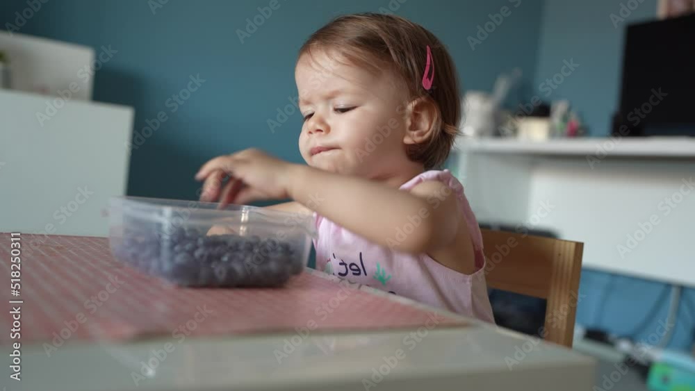 One girl child toddler small caucasian female daughter one year old sitting at the table in summer day at home eating blueberries fruit from bowl alone childhood growing up concept real people One girl child toddler small caucasian female daughter one year old sitting at the table in summer day at home eating blueberries fruit from bowl alone childhood growing up concept real people