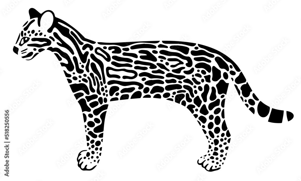 Fototapeta premium Ocelot realistic vector illustration isolated on white
