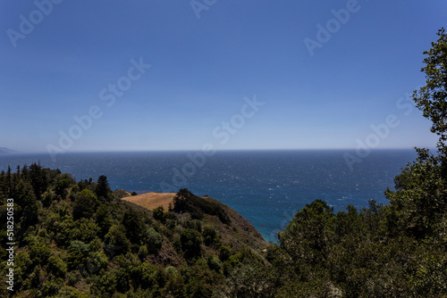 A view on the Pacific ocean and forest