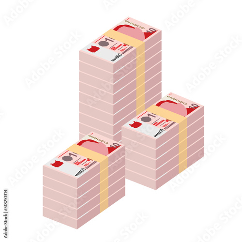 Singaporean Dollar Vector Illustration. Singapore, Brunei money set bundle banknotes. Paper money 10 SGD. Flat style. Isolated on white background. Simple minimal design.