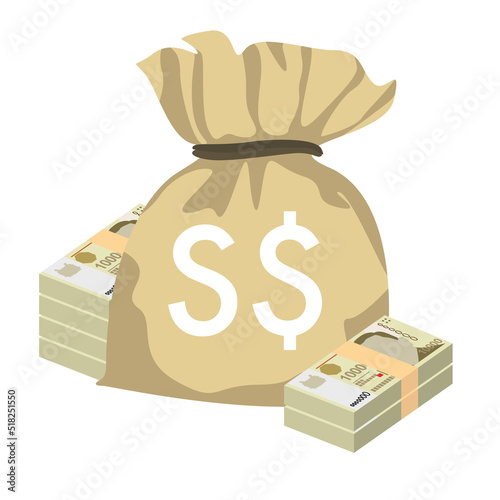 Singaporean Dollar Vector Illustration. Singapore, Brunei money set bundle banknotes. Money bag 10000 SGD. Flat style. Isolated on white background. Simple minimal design.