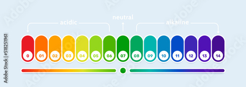 pH scale indicator chart diagram. Acidic and alkaline measure analysis. Concept of healthy eating.Vector illustration