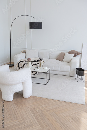 super white simple clean and stylish interior with modern furniture in nude color and contrasting black elements. luxury design of a large bright room living room © 4595886
