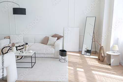 super white simple clean and stylish interior with modern furniture in nude color and contrasting black elements. luxury design of a large bright room living room © 4595886