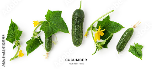 Fotografie, Obraz Cucumber with flower and leaves on white.