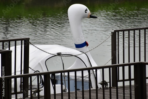 Fototapeta Naklejka Na Ścianę i Meble -  公園、パーク、池、湖、テーマパーク、アミューズメント、船、遊覧船、白鳥、白鳥の船、波止場