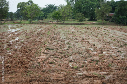Agricultural land and land preparation before planting
