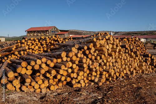 industria de la madera, Cabrejas del Pinar, Soria, Comunidad Autónoma de Castilla, Spain, Europe photo