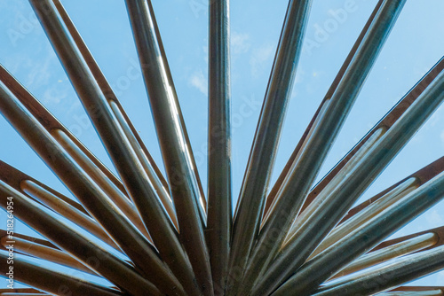 plant like glass roof construction 