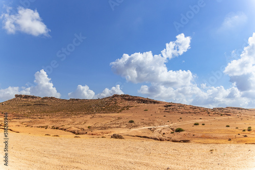 un paysage d  sertique en Tunisie