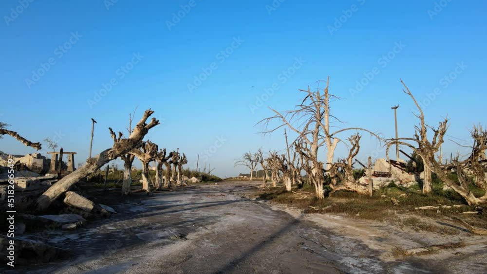 Road through Epecuen historic flooded town Buenos Aires Road through Epecuen historic flooded town Buenos Aires