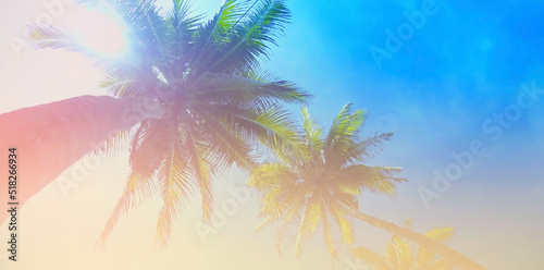 Fototapeta Naklejka Na Ścianę i Meble -  Summer colorful theme with palm trees background as texture frame image background