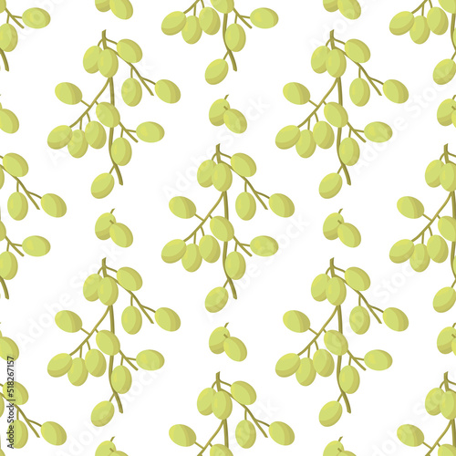 Neem. Color seamless pattern with fruits.