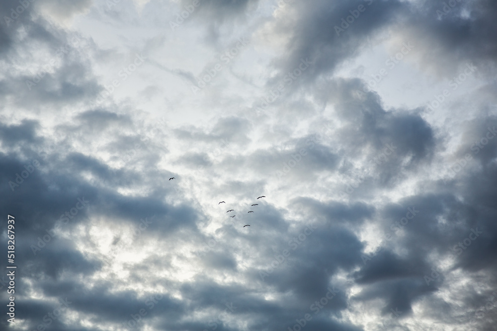 photo of dramatic sky with birds
